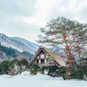 shimla